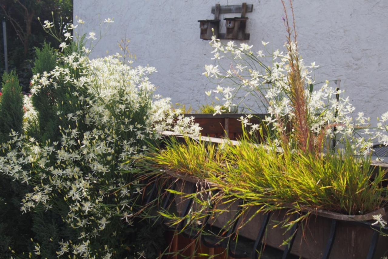 Ferienwohnung Seidenfaden Karlstadt Exterior foto